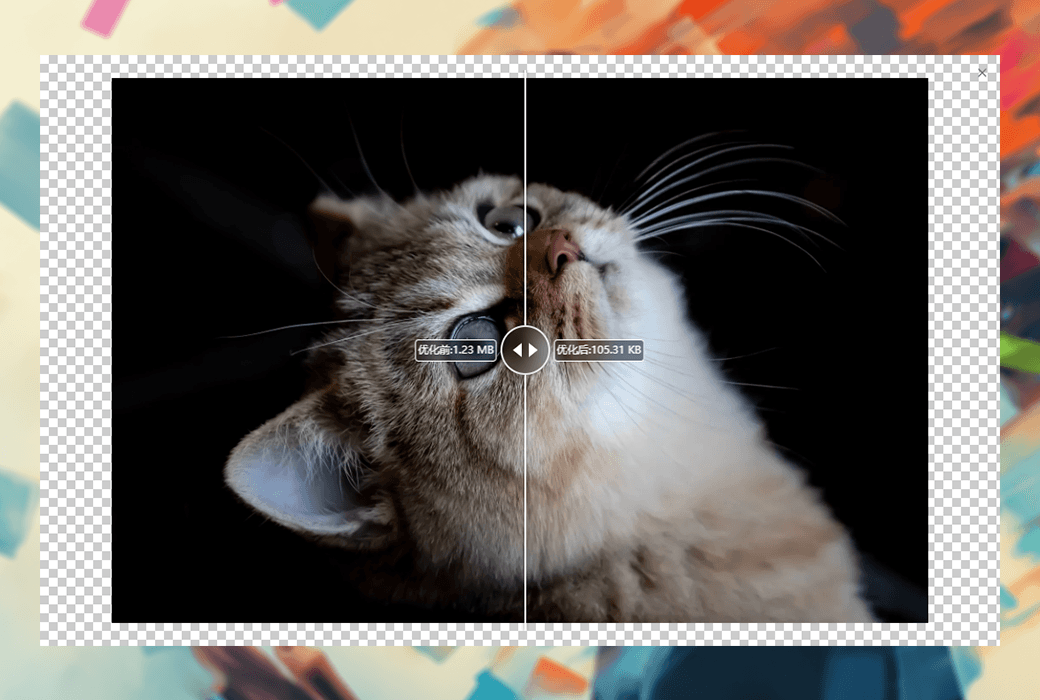 ImageOptimizer feature showcase 3
